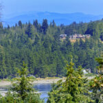 DSC_8481-1