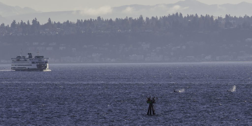 Living on bainbridge island